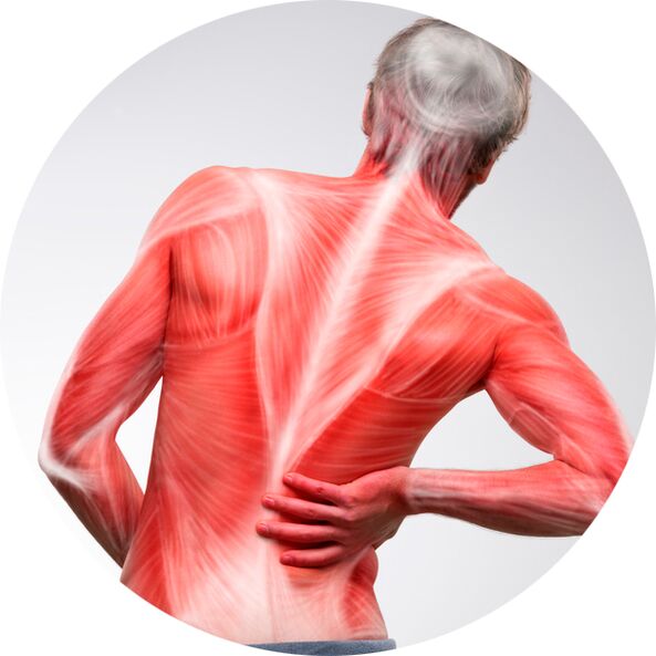 Hrbet je za večino ljudi pogost vir bolečin v mišicah in sklepih.